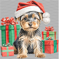 Animal Integration-DW 301